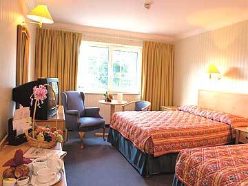 Avenue Hotel Cill Airne